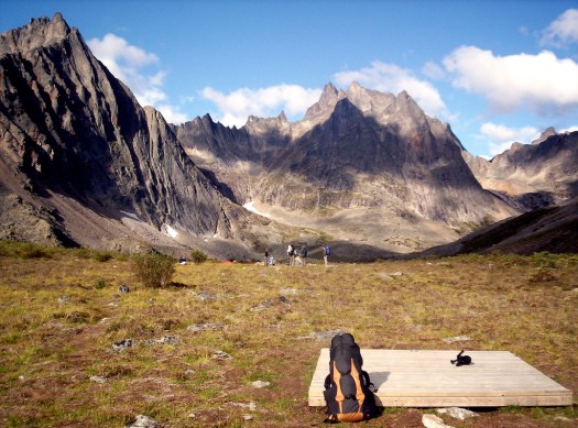 1123584924_905a876c76_b