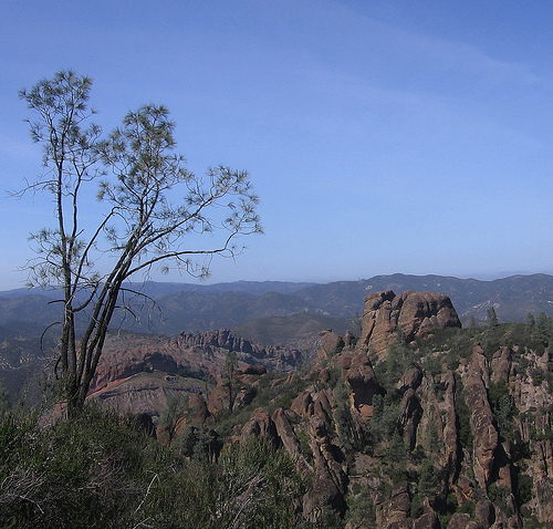 436166825_e6f616714e