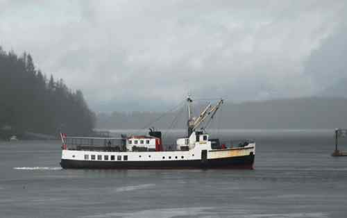 Lady-Rose photo by c0lin_bates