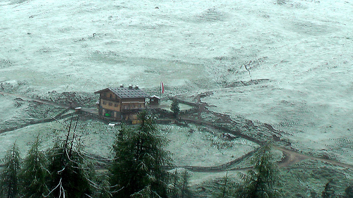snow-on-Alpine-Meadow snow-on-Alpine-Meadow