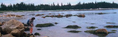 click for official brochure (PDF)