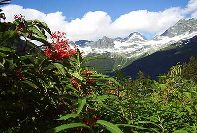 NOT the West Coast Trail