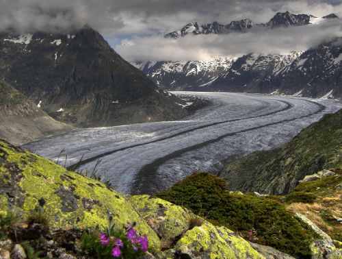 Aletsch