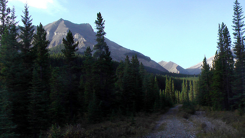 Banded-Peak Banded Peak from near the trailhead