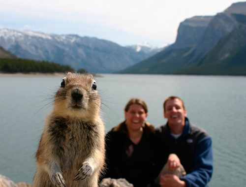 photo by Melissa Brandt