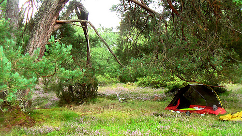 tent-Cairngorms tent-Cairngorms