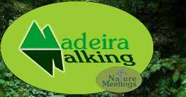 Madeira-Walking