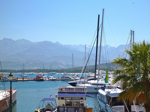 Calvi Harbour