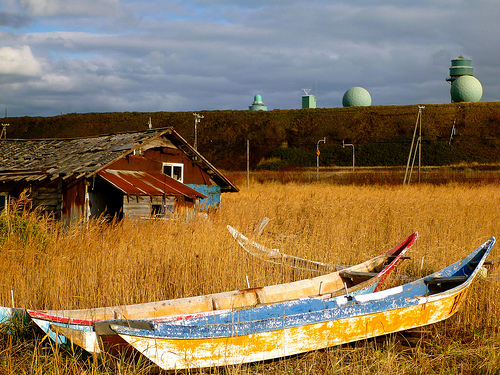 boats in the field
