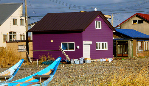 purple house