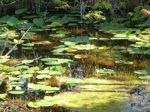 7966932052_10def7fc1c