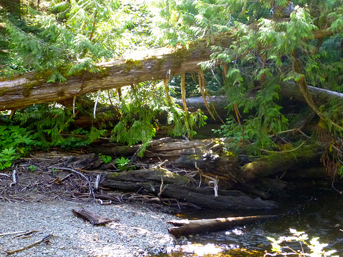 7966936878_749900532c