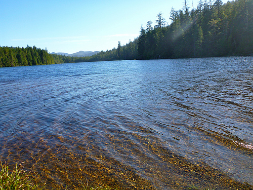 7966944696_e916530496