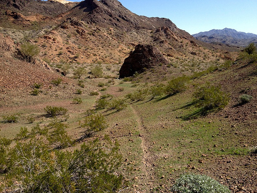 desert trail