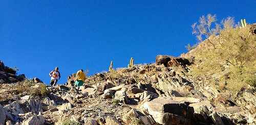 false_summit