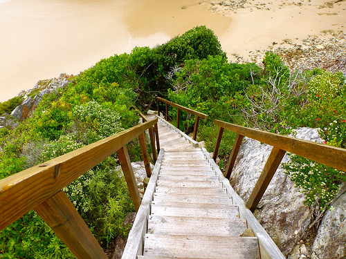stairs to Bloukrans