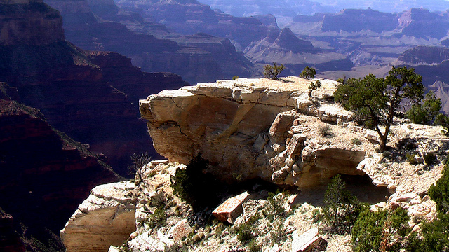 4627217246_12508407f8_z