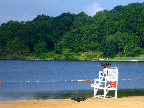Lake Welch beach