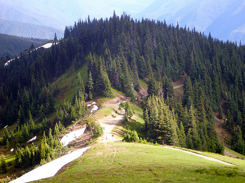 descending Hurricane