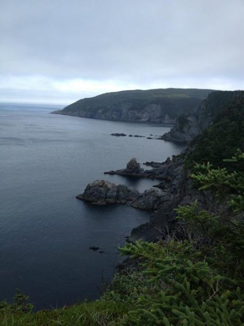 NFLD coast