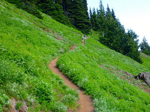 steep trail