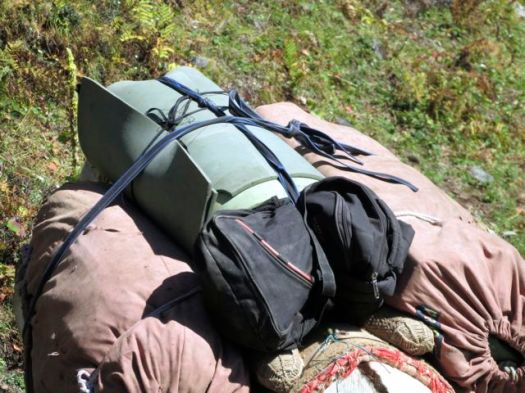 pack mule - Kuari day 4-2