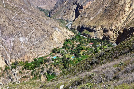 Monty VanderBilt - Oasis