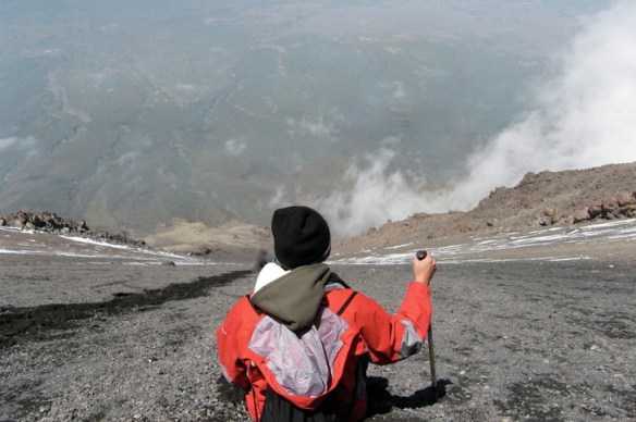 Reggie - what goes up, must come down