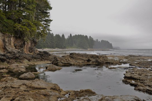 Juan de Fuca Park