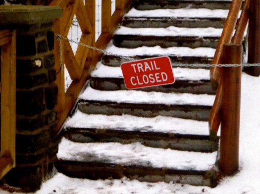 15895041213_2dea960a89_z