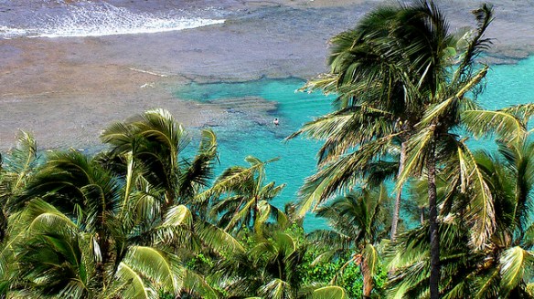 2405994413_875a2c565c_z