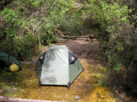  Louisa Bay campsite