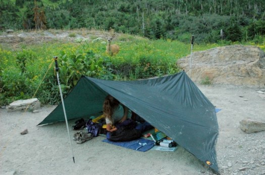 glacier-np-campsite-615x408
