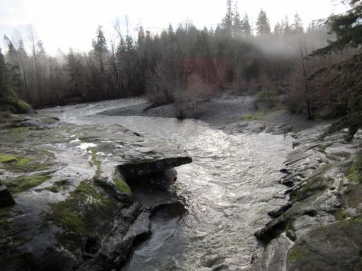 running Parksville Dec 2015 - 2 of 8