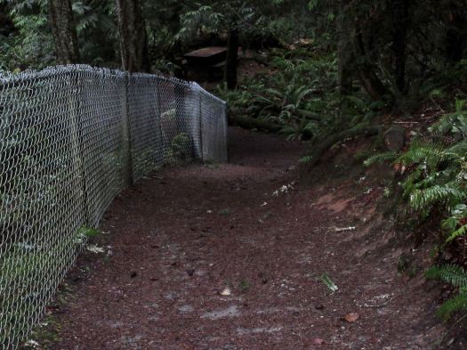 running Parksville Dec 2015 - 7 of 8