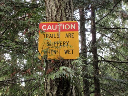 running Parksville Dec 2015 - 8 of 8