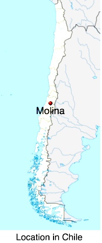 Molina map