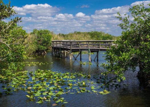 boardwalk-trails-everglades.jpg.990x0_q80_crop-smart