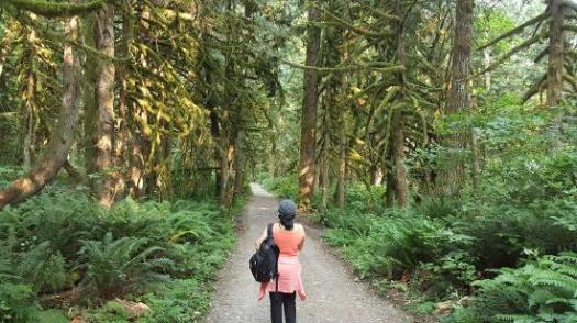 wallace-falls-state-park