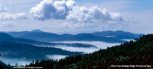 2-bodega-ridge-provincial-park