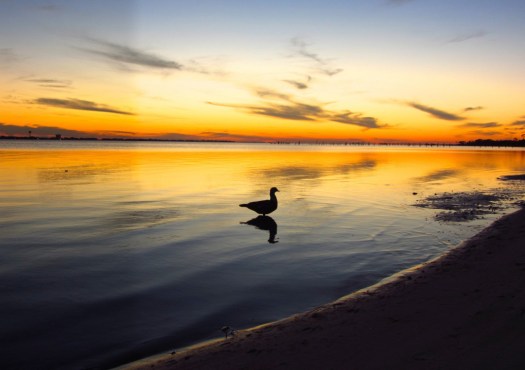 sunset-pensacola