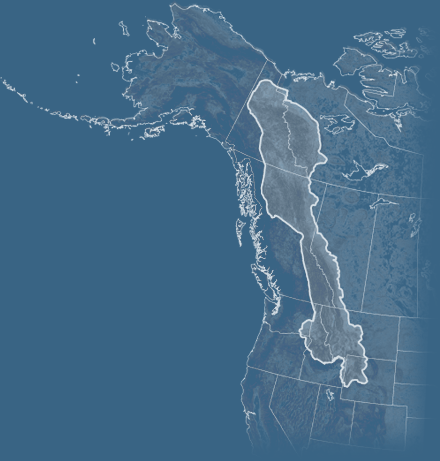 walking-the-big-wild