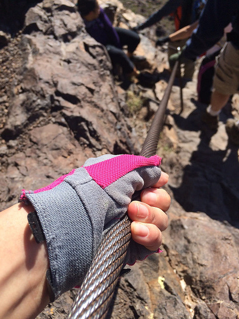 23408613072_0fc235f6fa_z