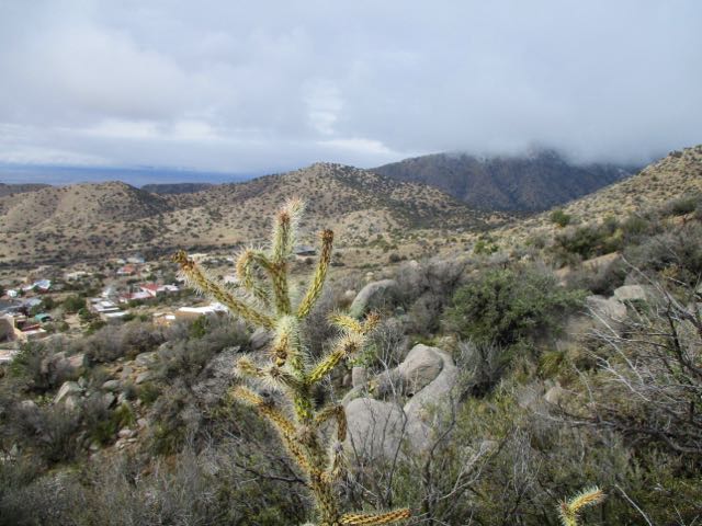 Tramway Trail, Albuquerque