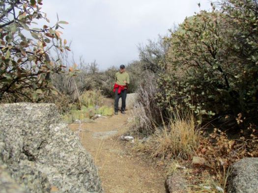 Tramway Trail, Albuquerque