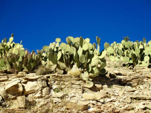Hotsprings Trail, Big Bend