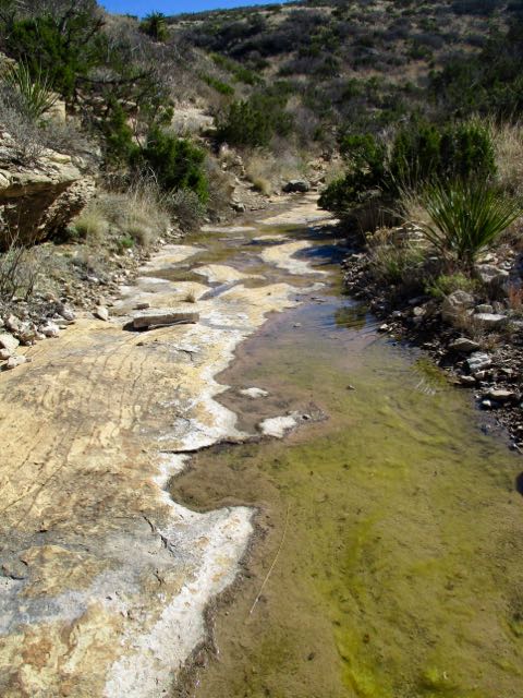 Rattlesnake Canyon, New Mexico