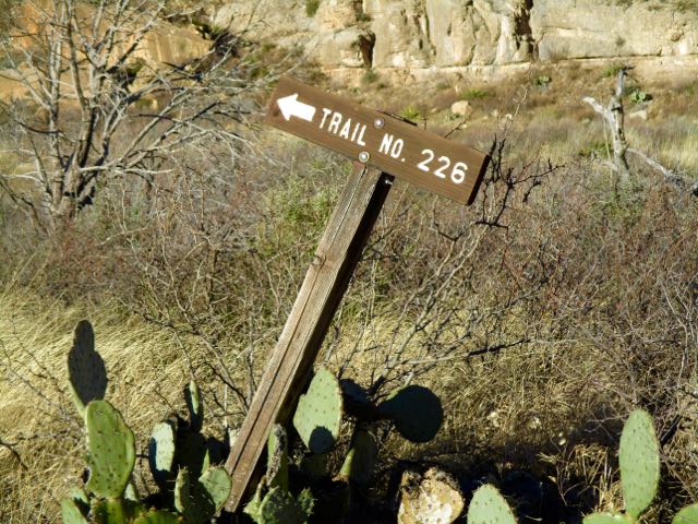 Last Chance Canyon, New Mexico