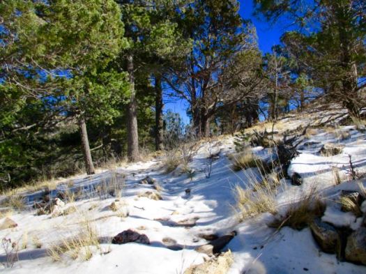Bowl Loop, Guadalupe Mountains TX