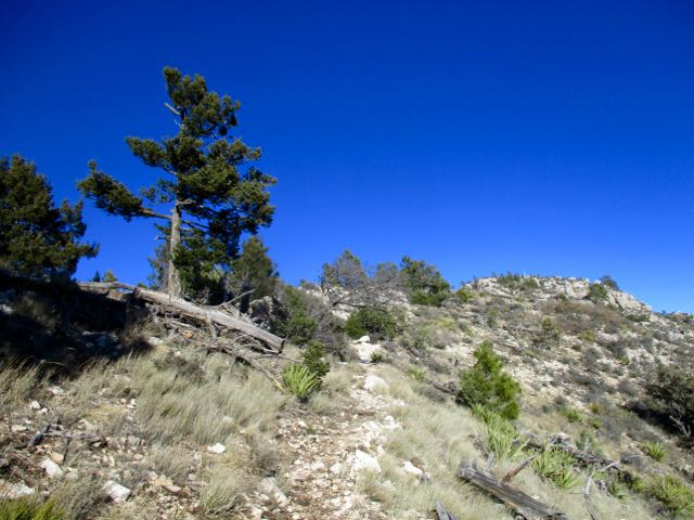 Bowl Loop, Guadalupe Mountains TX